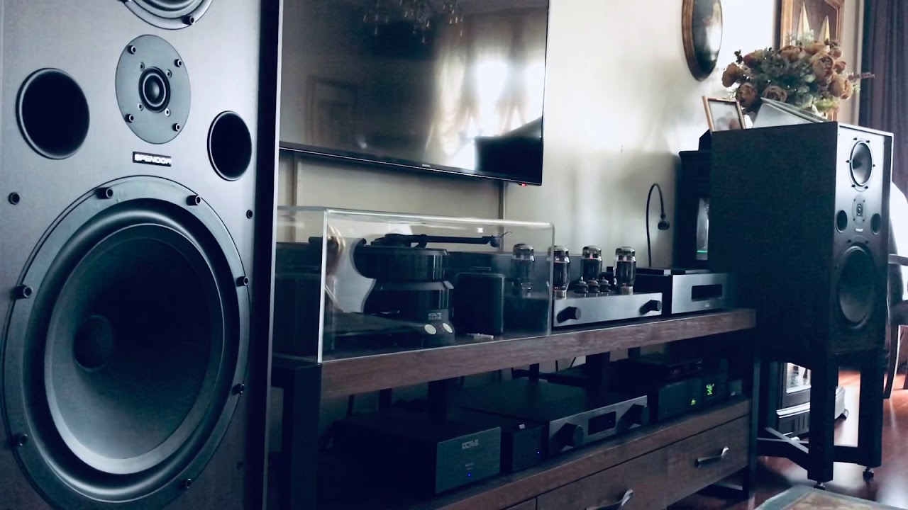 Octave audio&spendor sp100r2