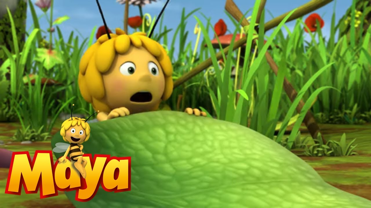Shelby's dream - Maya the Bee - Episode 38