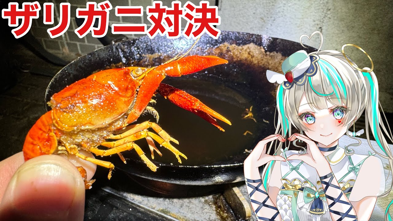 【罰ゲームあり】美少女Vtuberと真冬の川でザリガニ取り対決してたべてみた！！