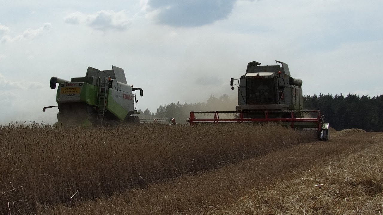 Żniwa z Claas ą 2018: CLAAS LEXION 540 C i 450 w życie (C robi różnicę)