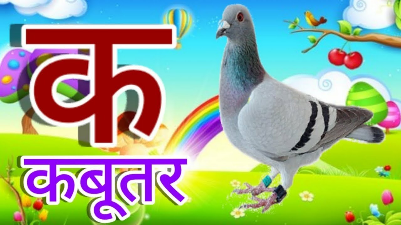 क से कबूतर, k se kabutar, a se anar, #ksekabutar #aseanar