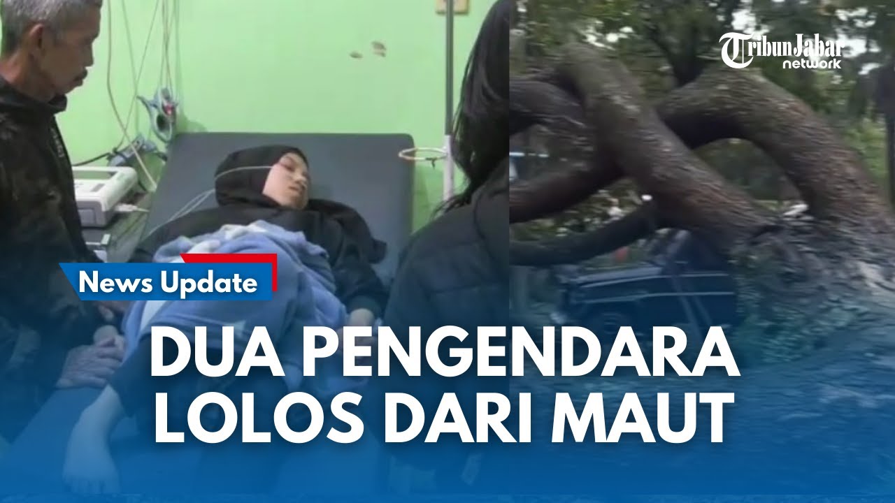 CERITA 2 PEMOTOR BISA LOLOS DARI MAUT saat Pohon Raksasa Tumbang di Subang