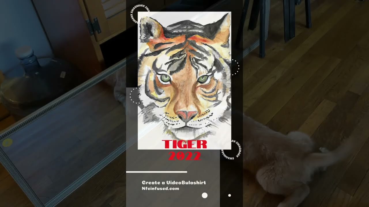 The Internet of Experiences: The Year of the BulaTiger