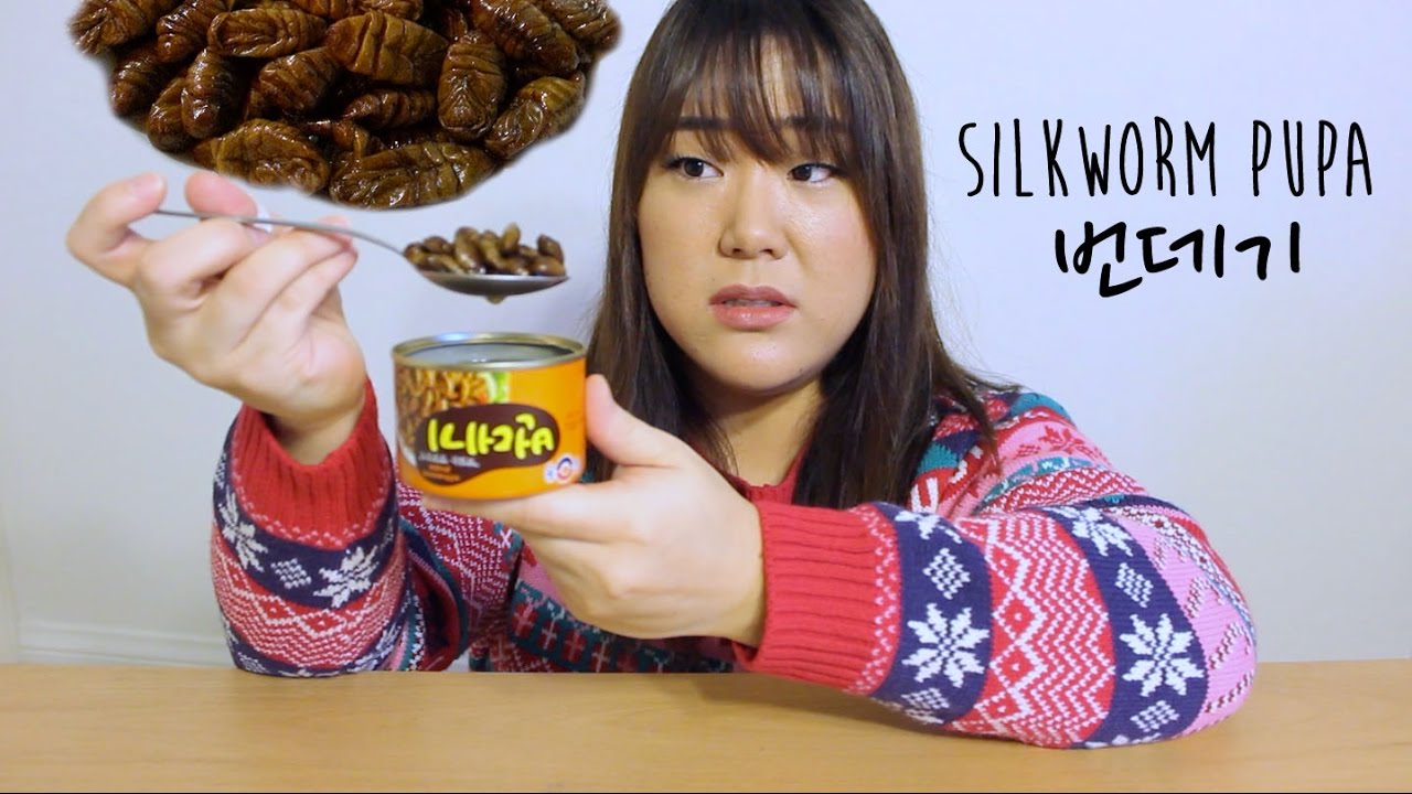 KOREANS EAT BEONDEGI | SILKWORM PUPA | 번데기 먹어보기