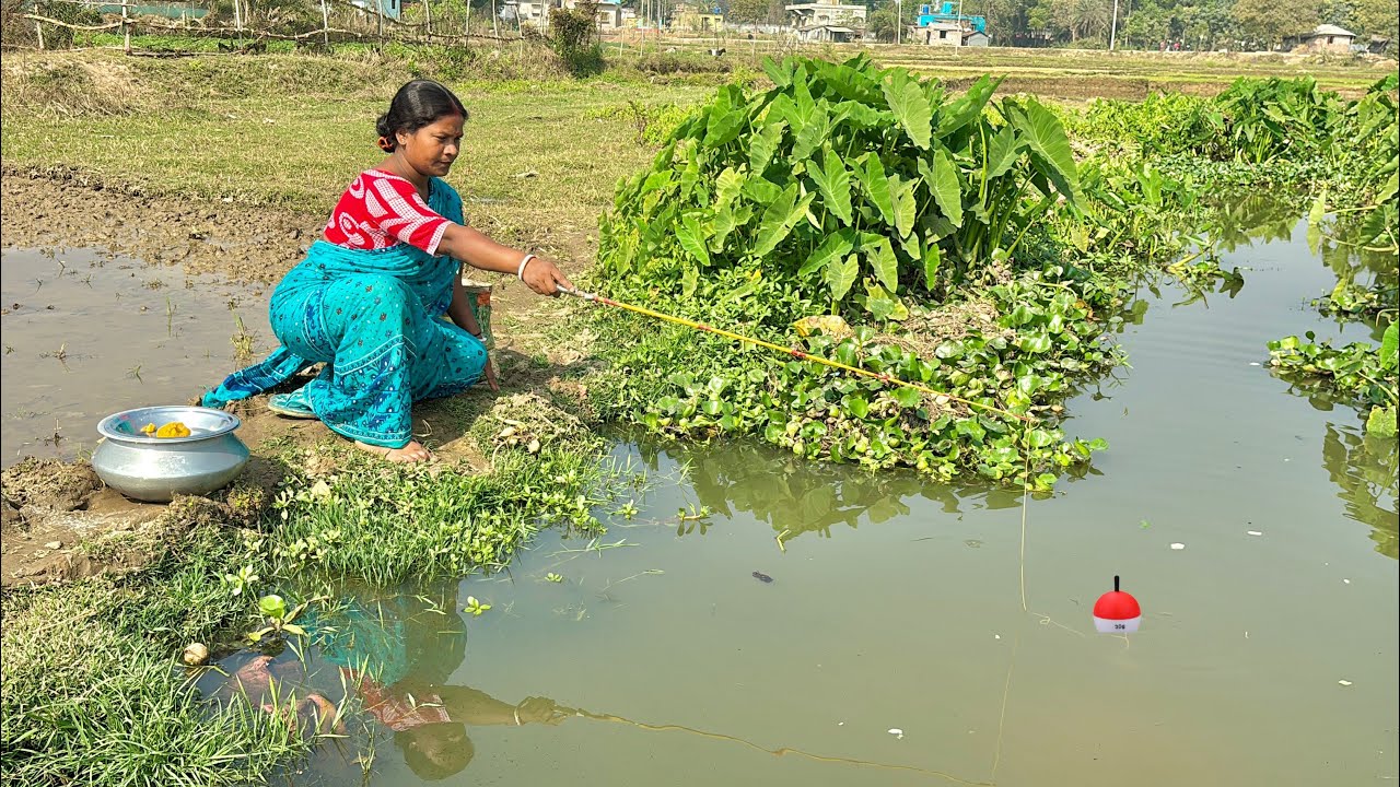 Fishing Video || The beautiful village lady catches fish every day and sells it at the mud canal 
