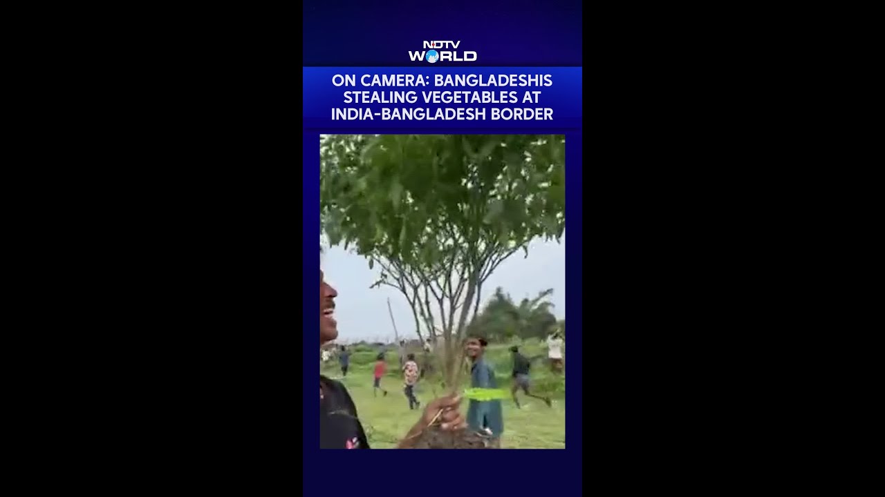 On Camera: Bangladeshis Stealing Vegetables At India-Bangladesh Border