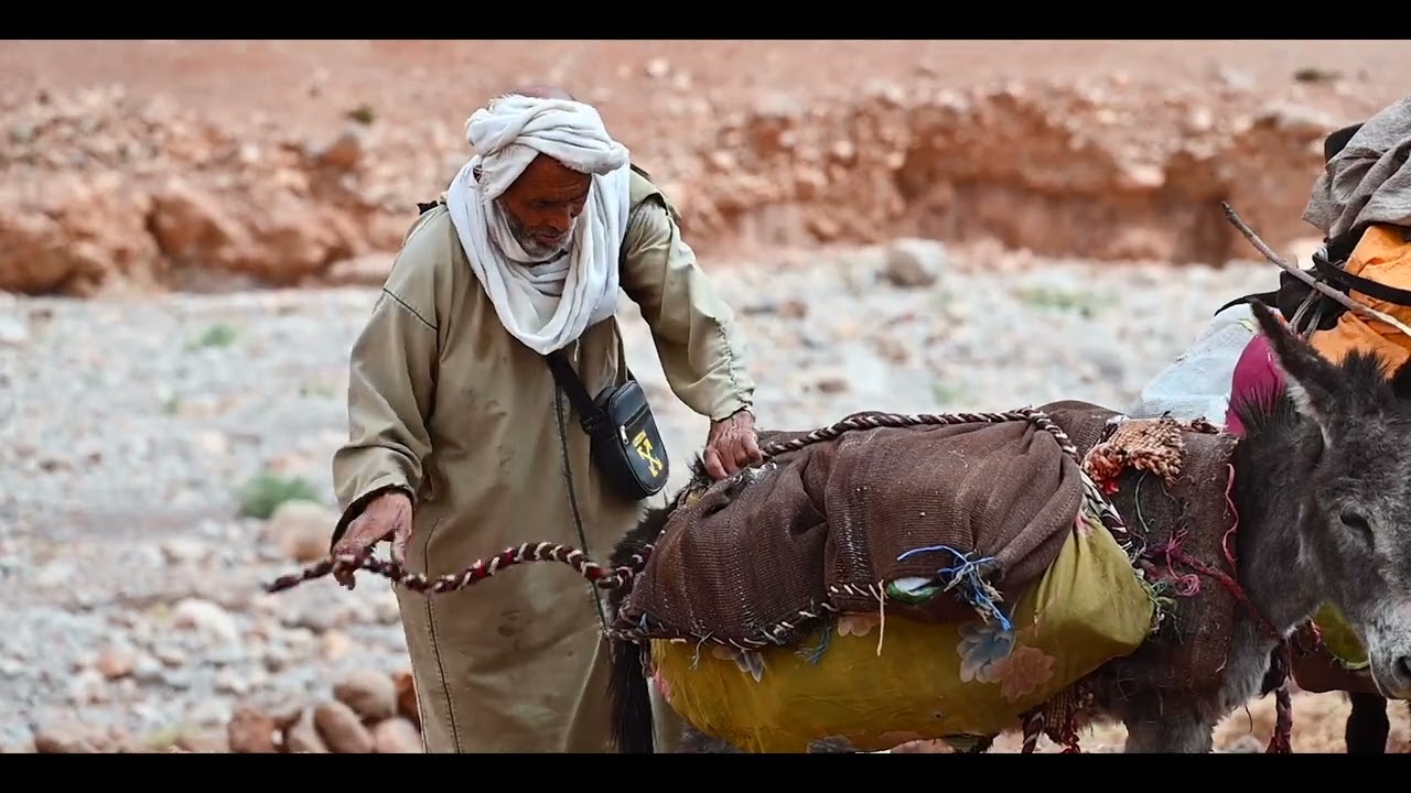 Transhumance Day 2 | From Saghrou to Adrar with Aït Atta Nomads