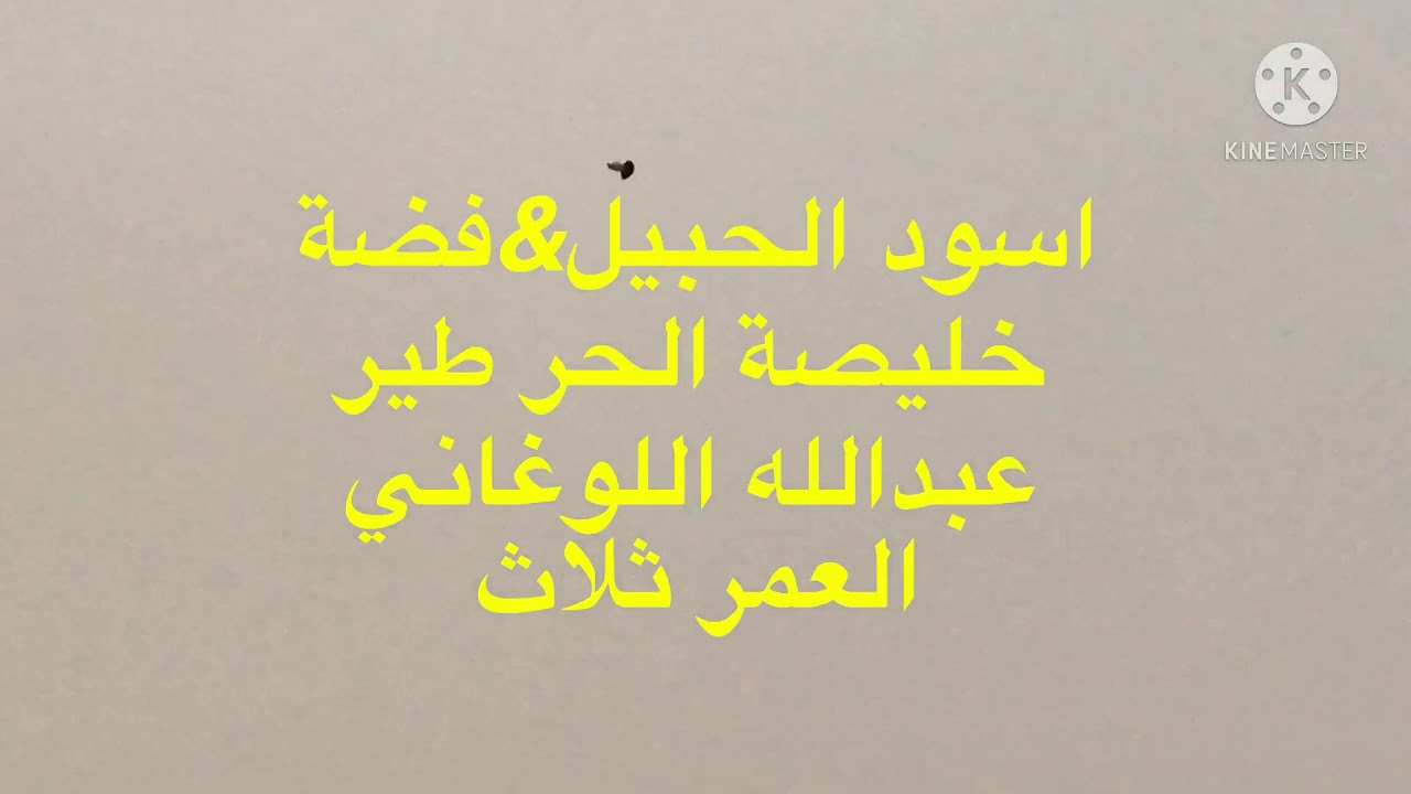 اسود الحبيل &فضه خليصة الحر طير عبدالله لللوغاني