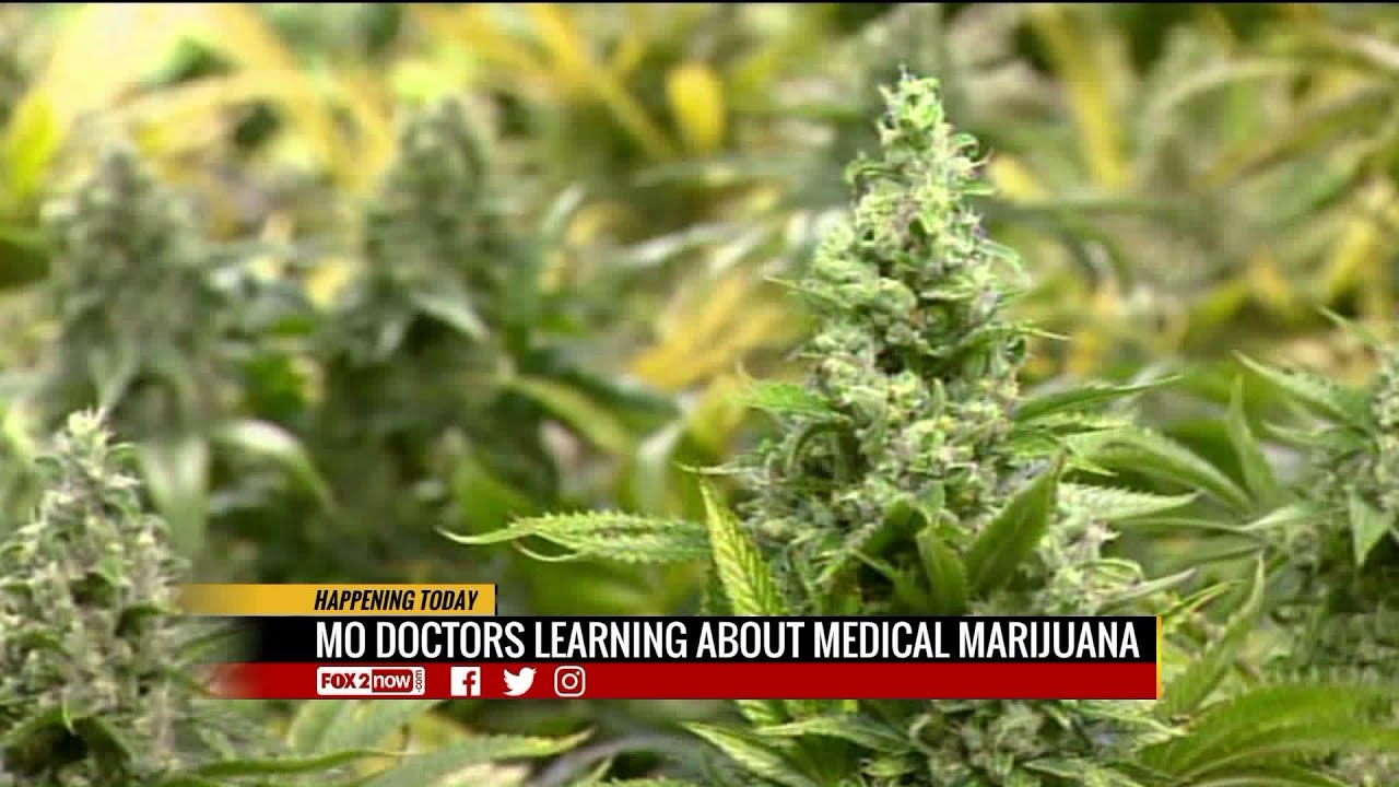 Missouri doctors learn about medical cannabis