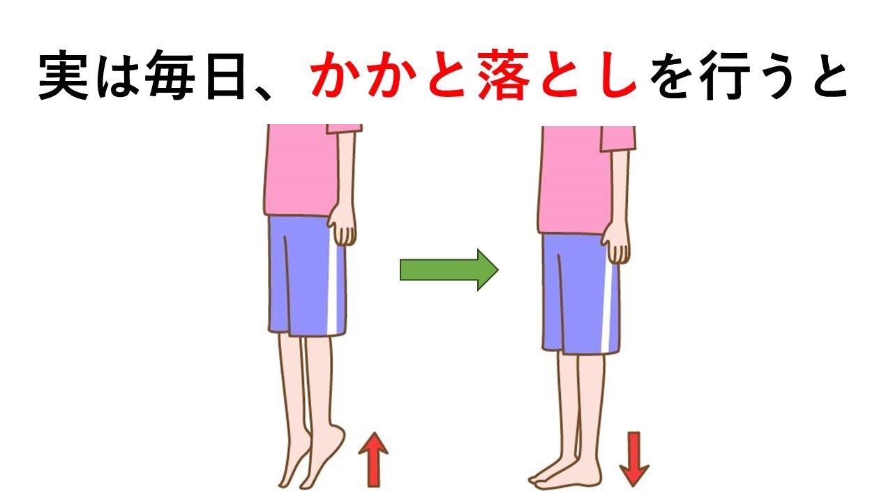 知るか知らないかで差が付く「かかと落とし」に関する雑学