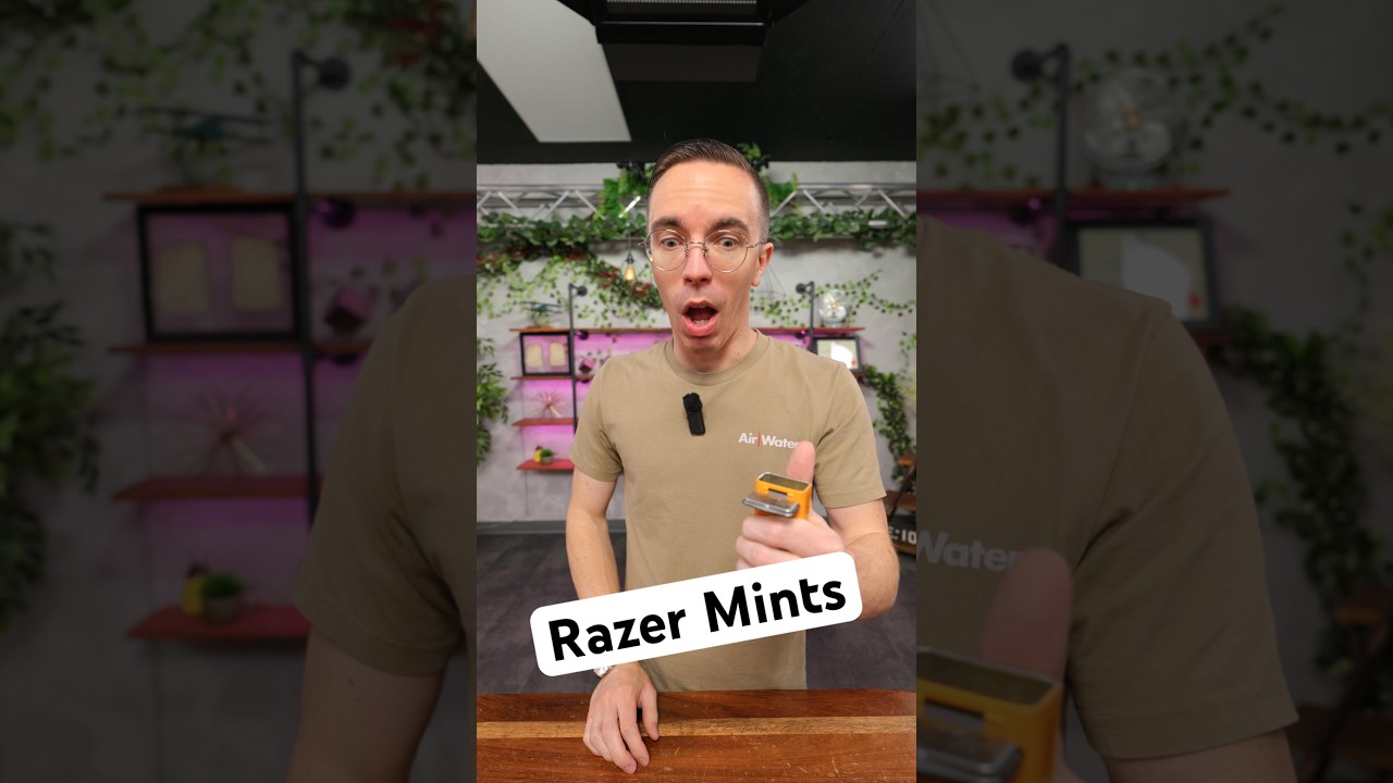 Trying Razer&rsquo;s New &ldquo;Mints&rdquo; 😅