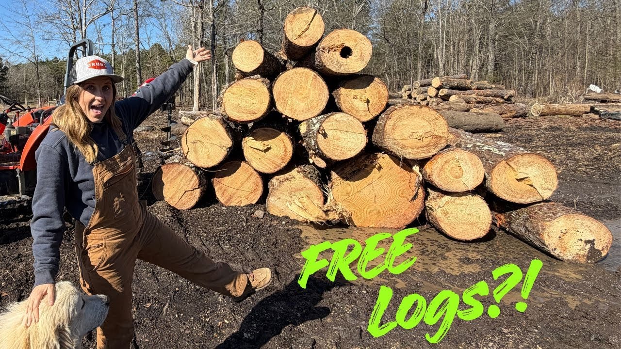 A BIG Log Problem… With a FREE Solution!!