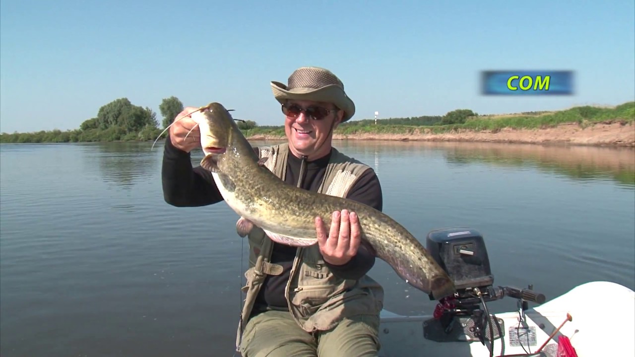 Чертова дюжина. Сезон 4. Сом