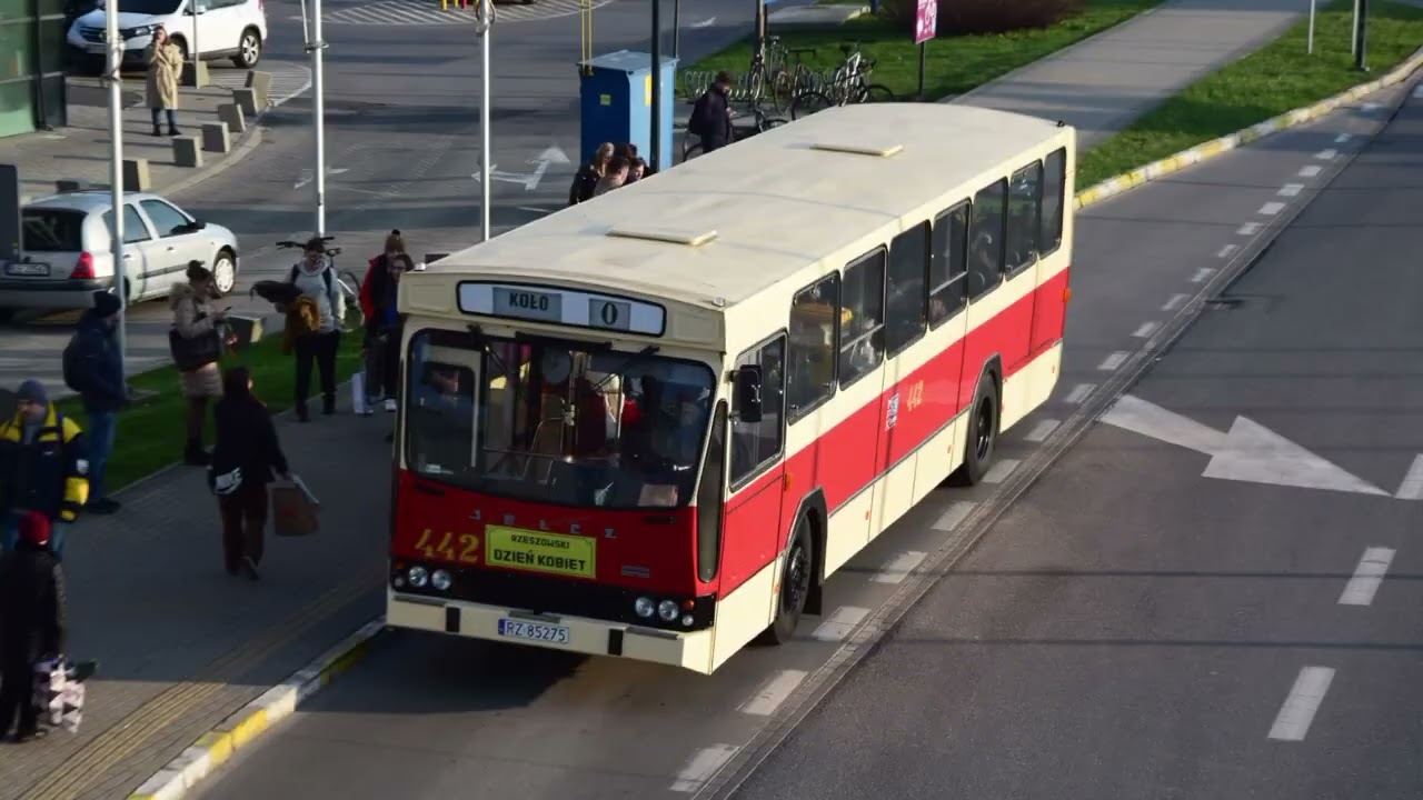 Jelcz PR110 z okazji dnia Kobiet + zdjęcia