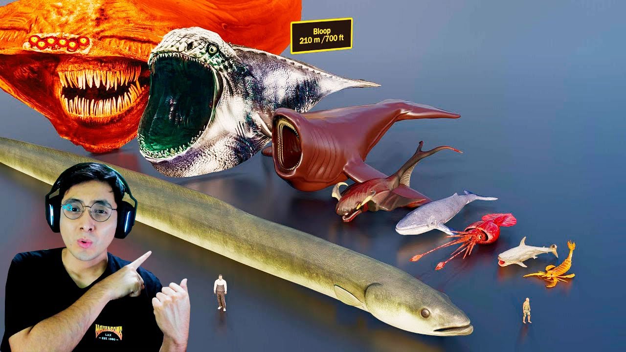 COMPARACION DE TAMAÑO DE LAS BESTIAS MARINAS MAS GRANDES DEL MUNDO | JehxTp