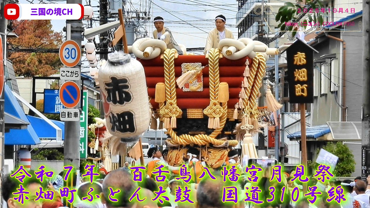 【大迫力】赤畑町ふとん太鼓が激揺れ！国道310号線で圧巻の担ぎ｜百舌鳥八幡宮 月見祭（２０２５年１０月４日）