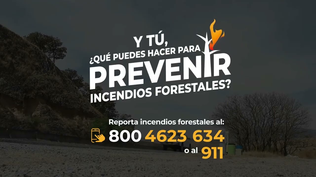 Comisión Nacional Forestal Logo History