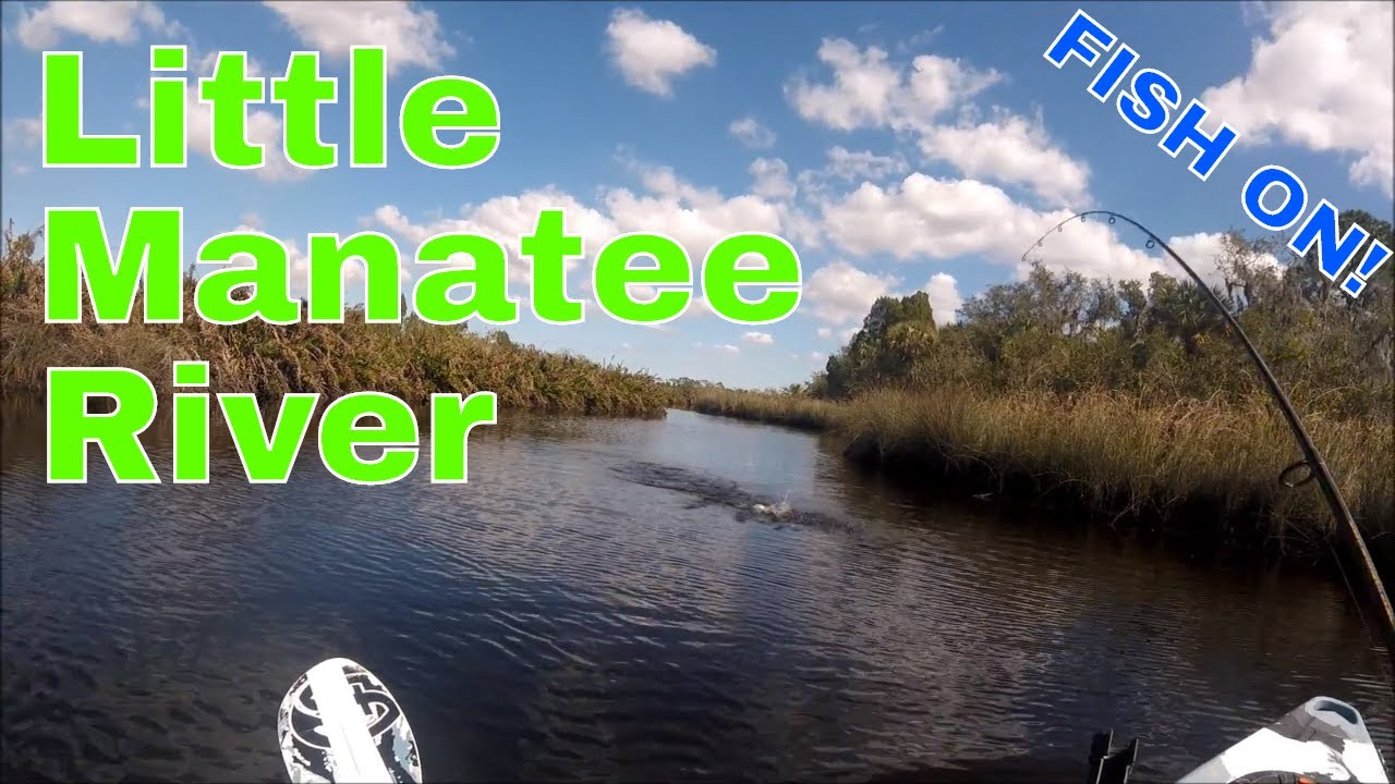 Florida Salt Series - Ep.2 - 