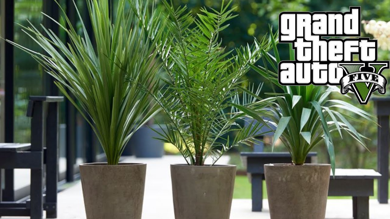 TUINPLANTEN VERKOPEN IN GTA 5! GTA 5 Online #4