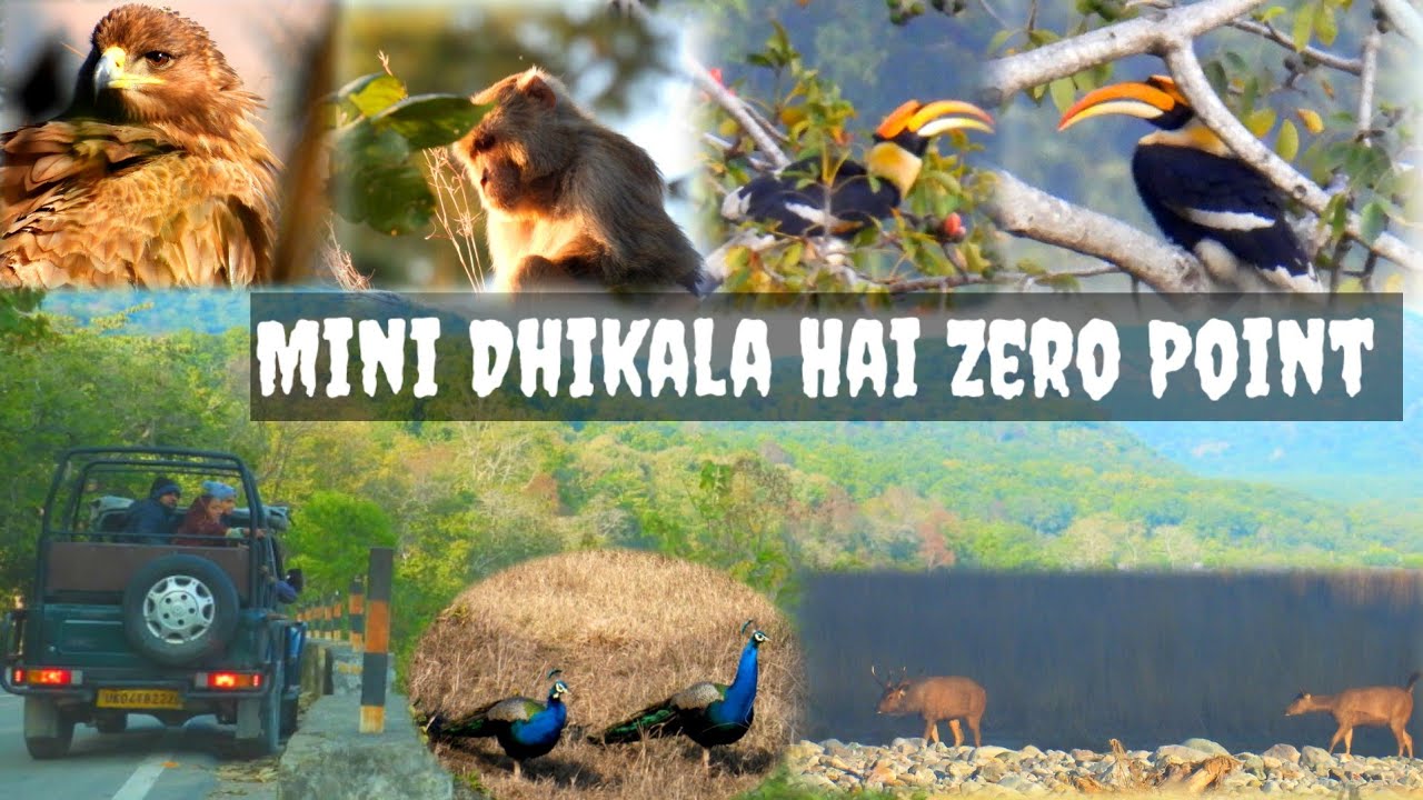 Mini Dhikala Zero Point Mohan