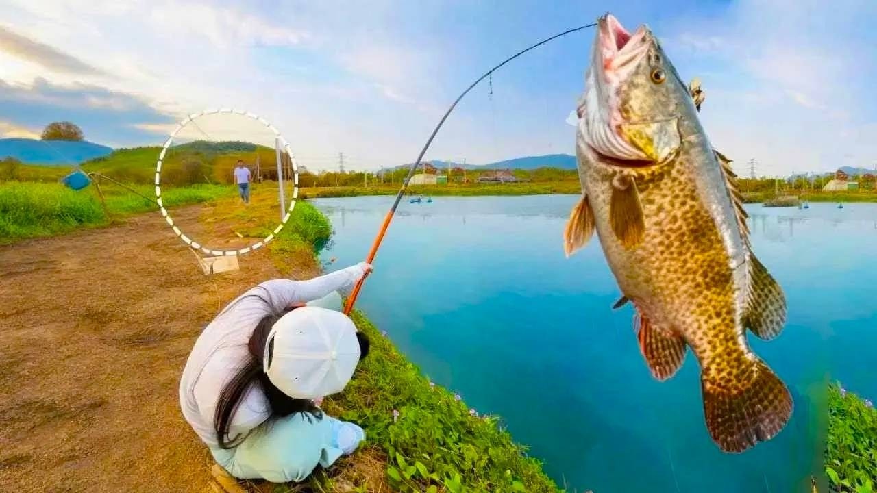 不用釣竿也能釣魚？ 10秒上岸兩條巨型龍躉，1500塊的釣費直接掙回，嚇得老闆不敢讓釣！ 【女釣友微微】#釣魚 #fishing #