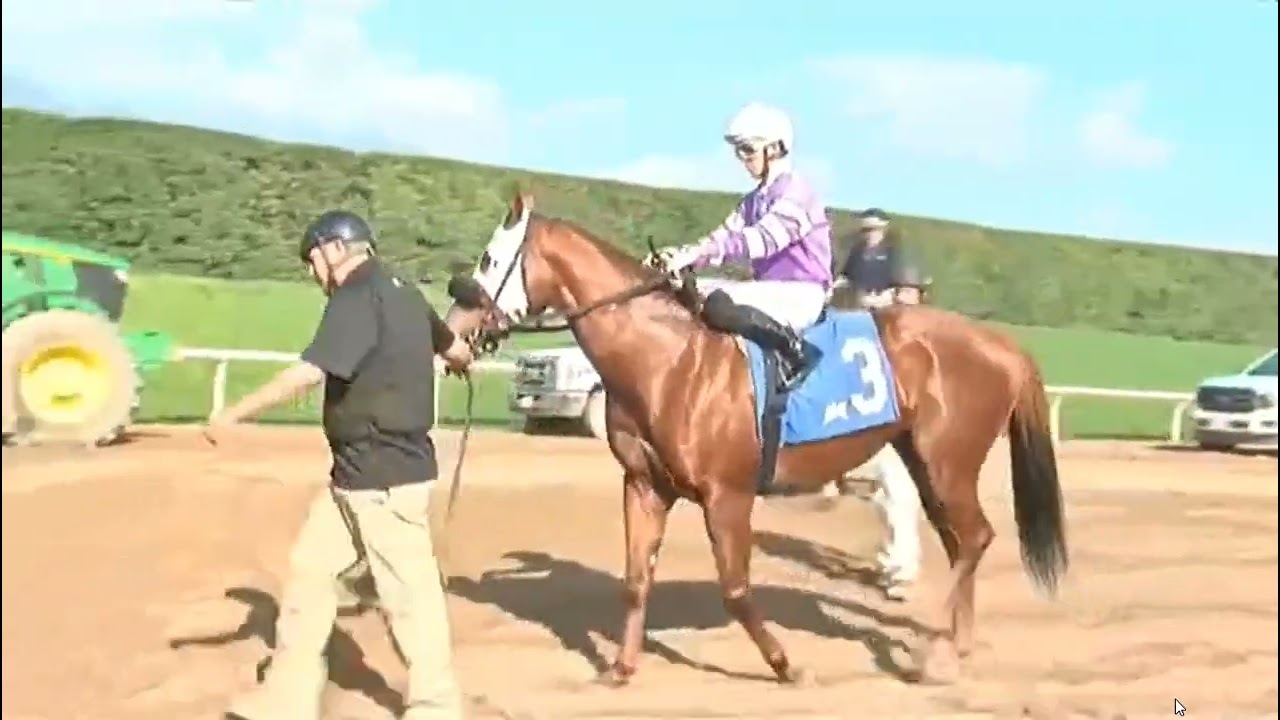 R4 SANTA ANITA USA 24 JAN 2026