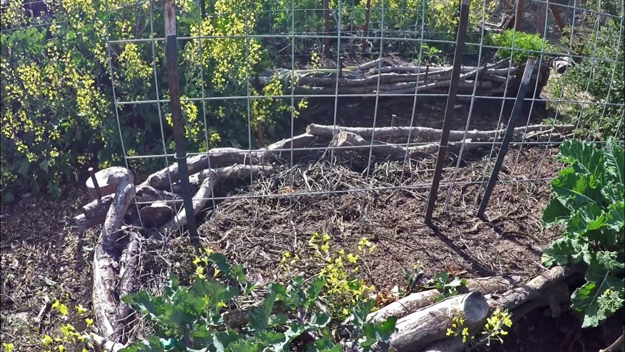 How To Build A Natural Free Raised Bed Garden Out Of Branches