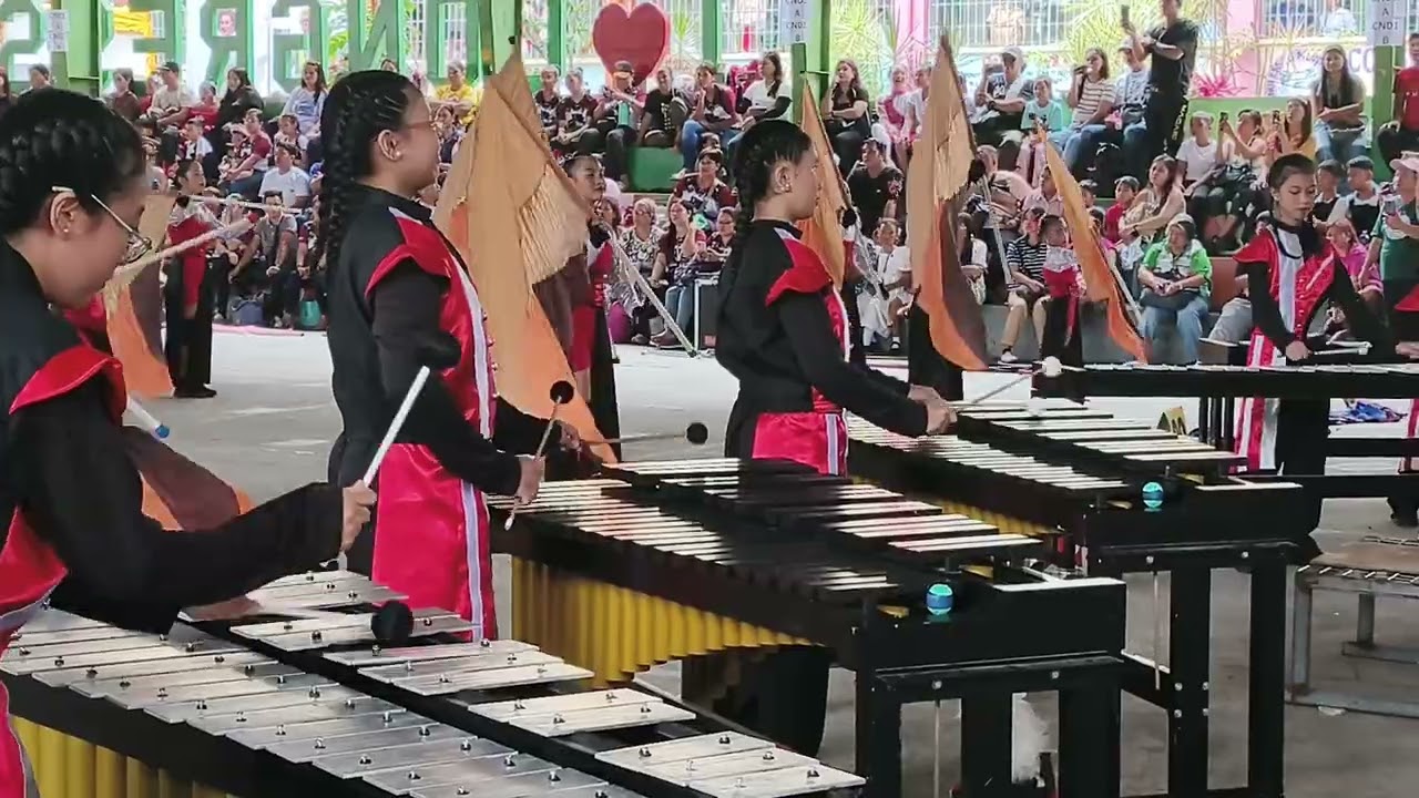 DIVISION MAPEH FESTIVAL OF TALENTS 2026 Drum&Lyre CHAMPION!!! Silanganan Elementary School Crusaders