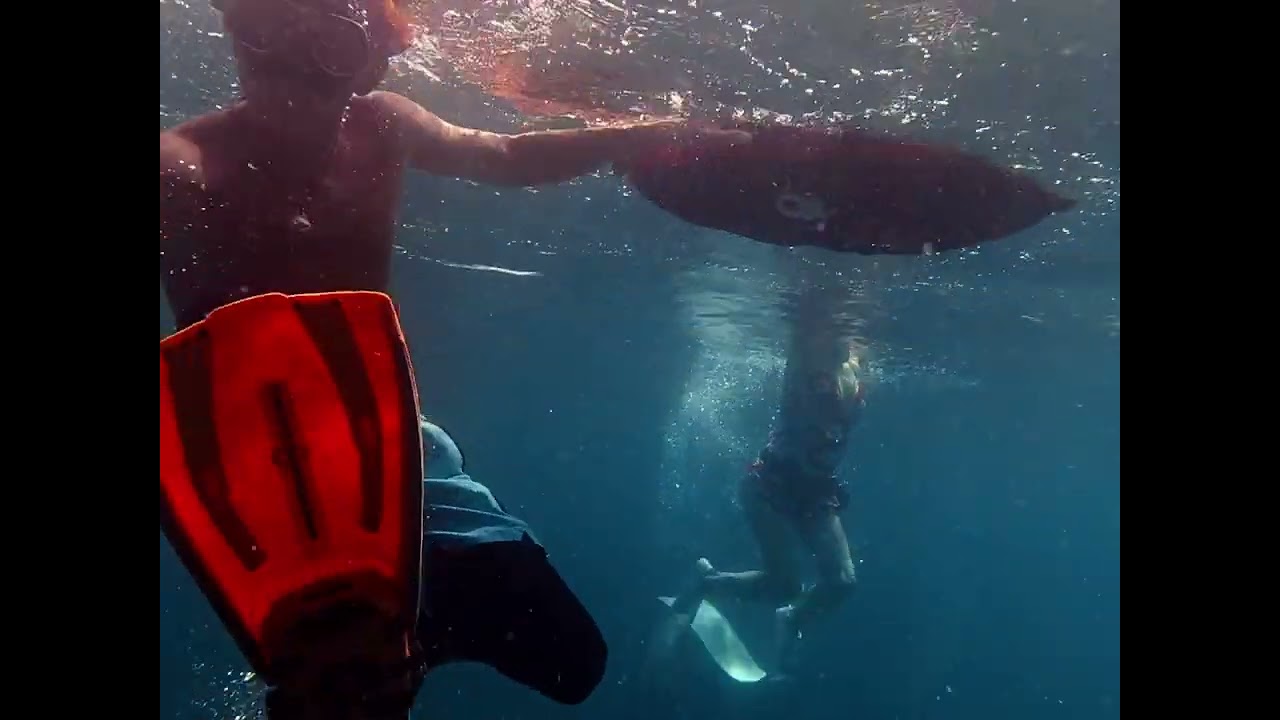 2026-01-12Skin and Free diving. Kazumi ＆ Yuri with Allblue