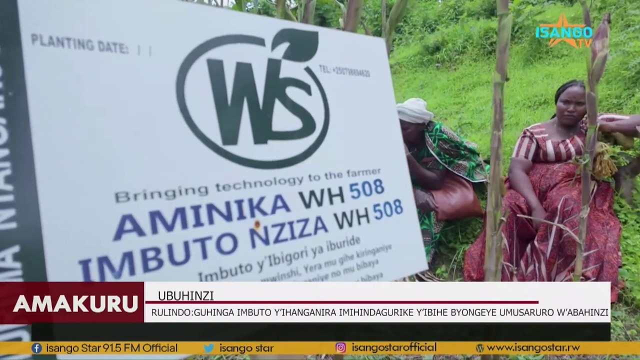 RULINDO: GUHINGA IMBUTO Y'IHANGANIRA IMIHINDAGURIKIRE Y'IBIHE BYONGEREYE UMUSARURO W'ABAHINZI
