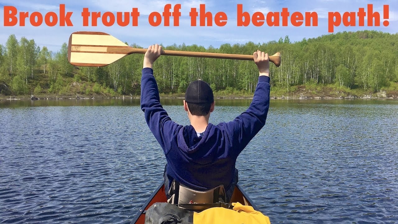 Brook Trout Off The Beaten Path - Spring 2020