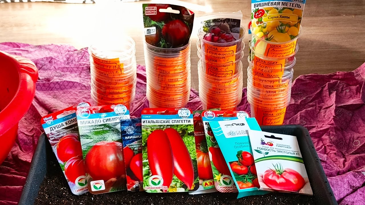 Основной посев томатов. Начало.