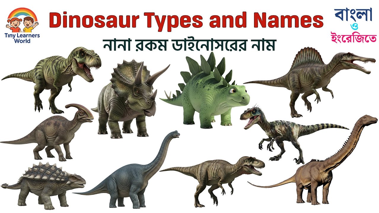 ডাইনোসরের নাম বাংলা ও ইংরেজিতে | 10 Dinosaur Names | T-Rex, Triceratops & More