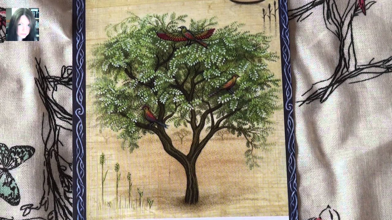 Wisdom of Trees Oracle Cards review