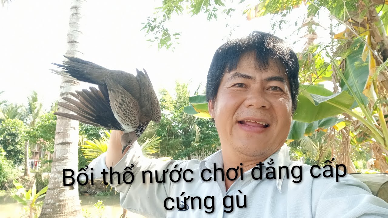 #  Hiểu cu gáy #   Mồi đụng bổi VIP nước bài bản thúc y như mã lai ae cần bổi Zalo 0345389301.?