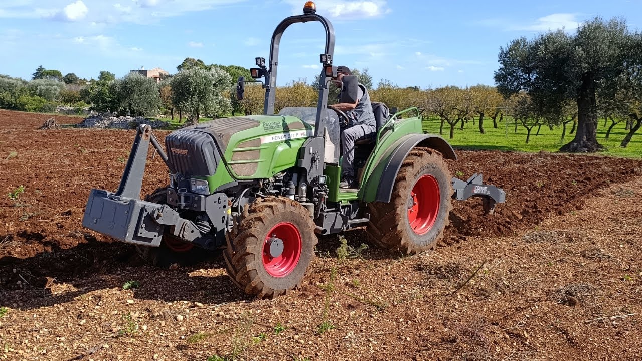 FENDT 211P VARIO TMS in fase di ripuntatura in un ex super intensivo di ciliegie