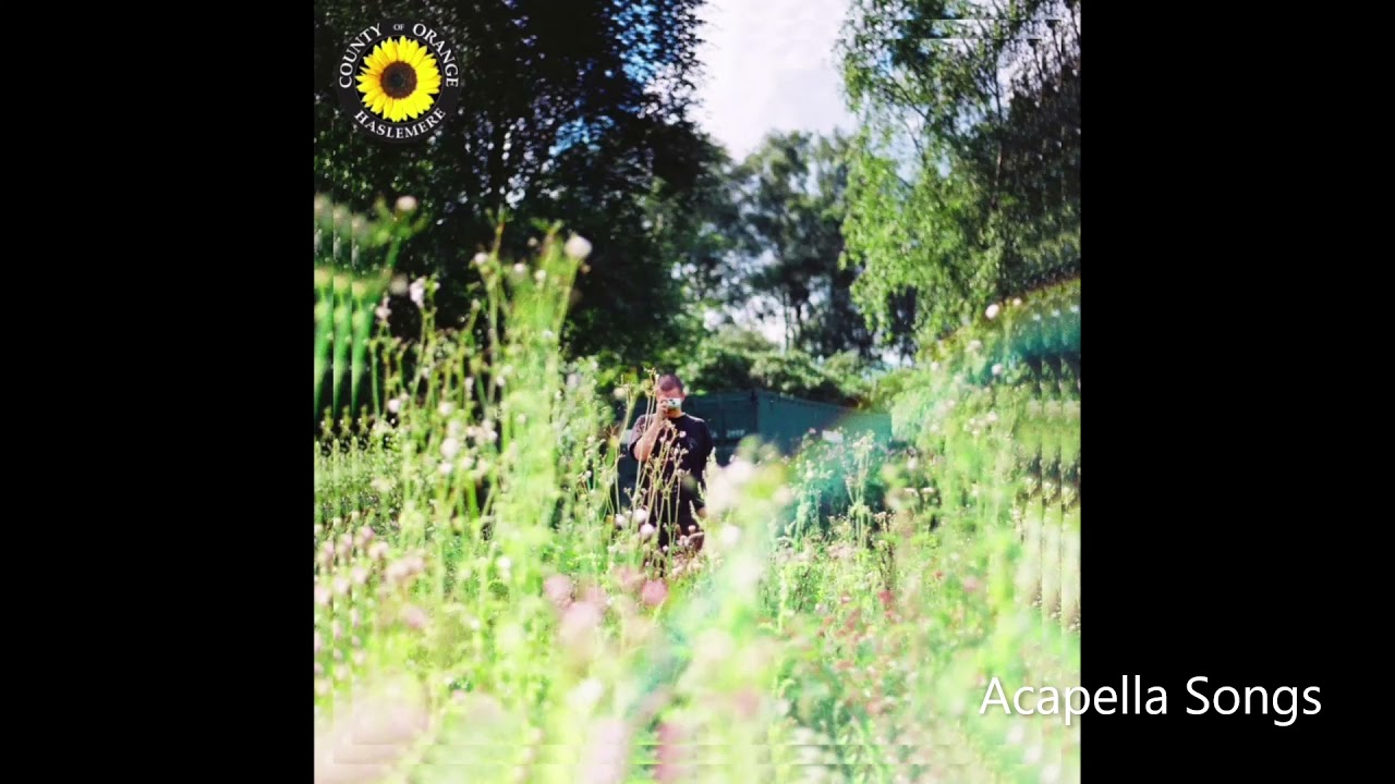 Rex Orange County - Sunflower (Acapella Only Vocals)