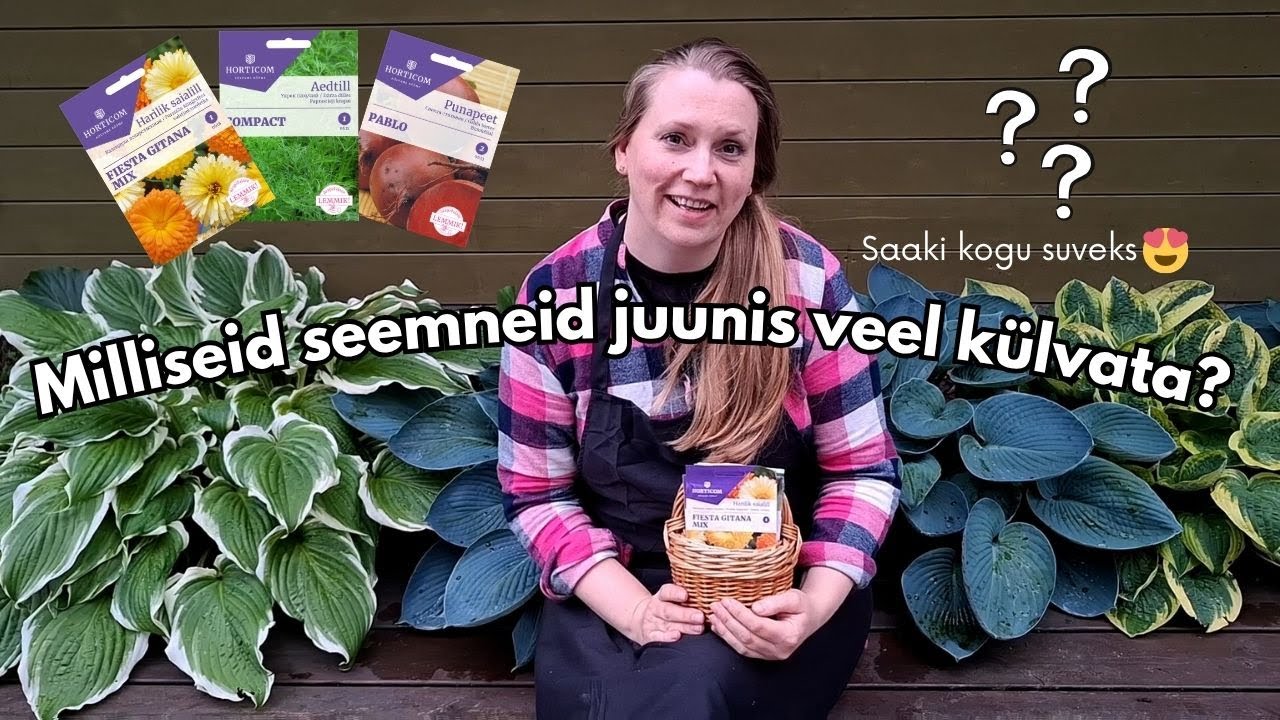 Milliseid seemneid saab edukalt külvata ka jaanipäeva paiku? 🔥✅