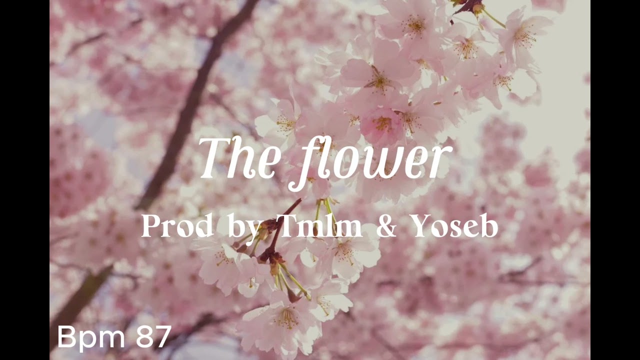 [무료비트]제이씨유카xTOIL Last girl Type beat(The flower)
