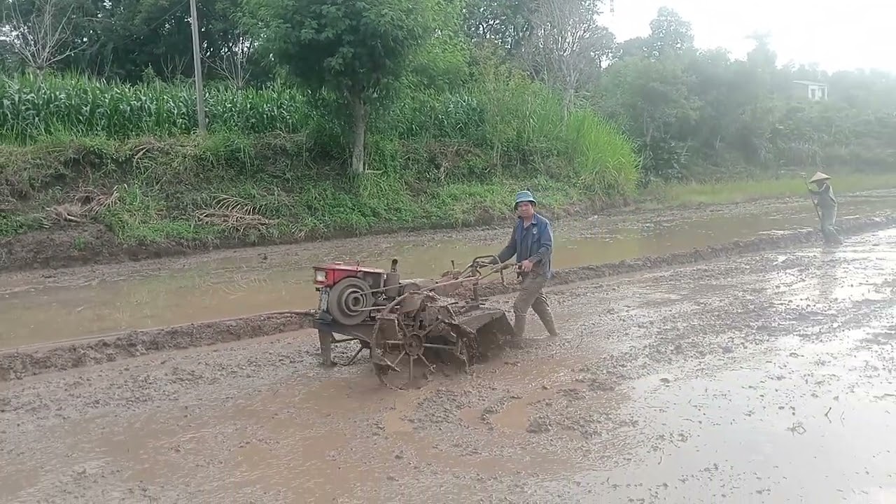 Vào mùa vụ mới. Cấy lúa nước trên đồi, mùa vụ mới ruộng bậc thang ở Tây Nguyên