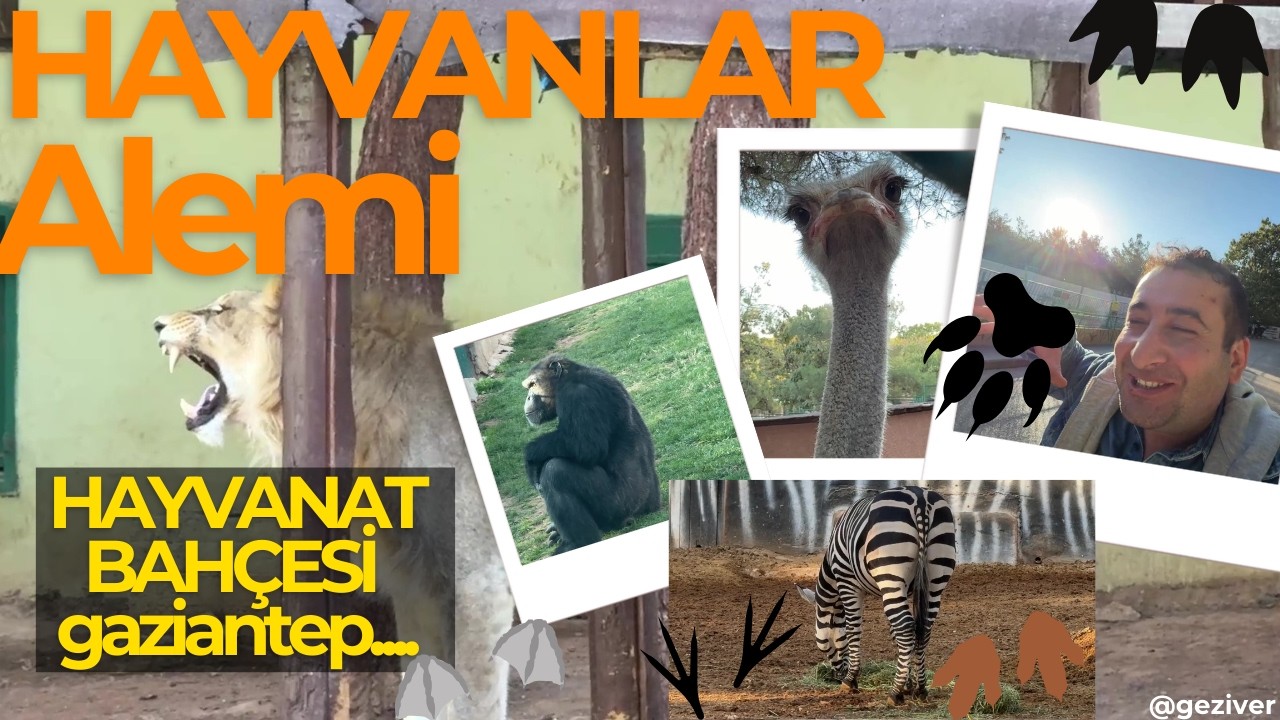 Gaziantep’te Gizli Safari: Hayvanların Sırları