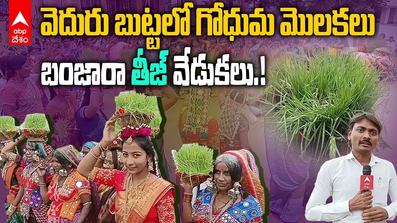 Adilabad Banjara Teej Festival : రాఖీ పండుగ నుంచి 9రోజులు జరిగే బంజారాల పండుగ | DNN | ABP Desam