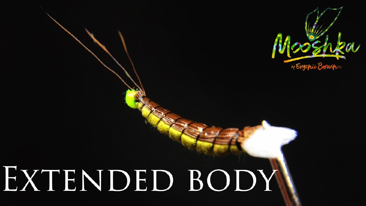 Тело для подёнки / Extended body