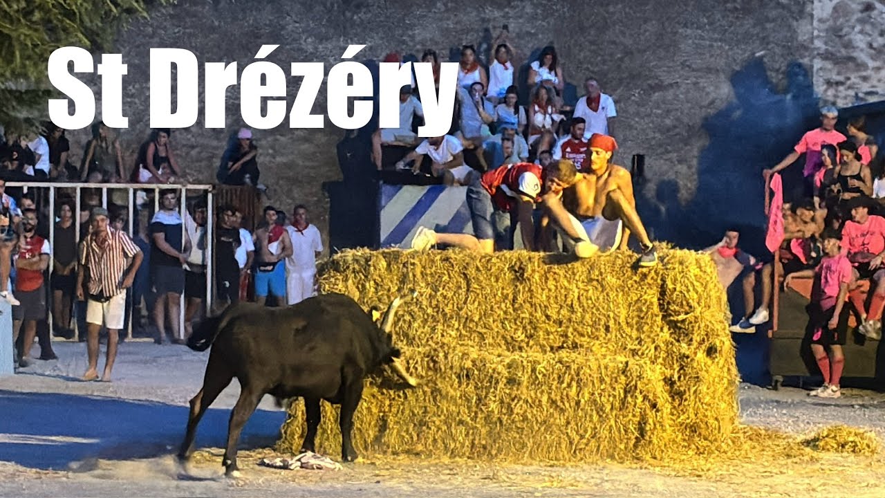 Course au plan ￼➡️ St Drézéry 🇫🇷 14/08/24 Manade Vellas #aficionados #encierro #taureau
