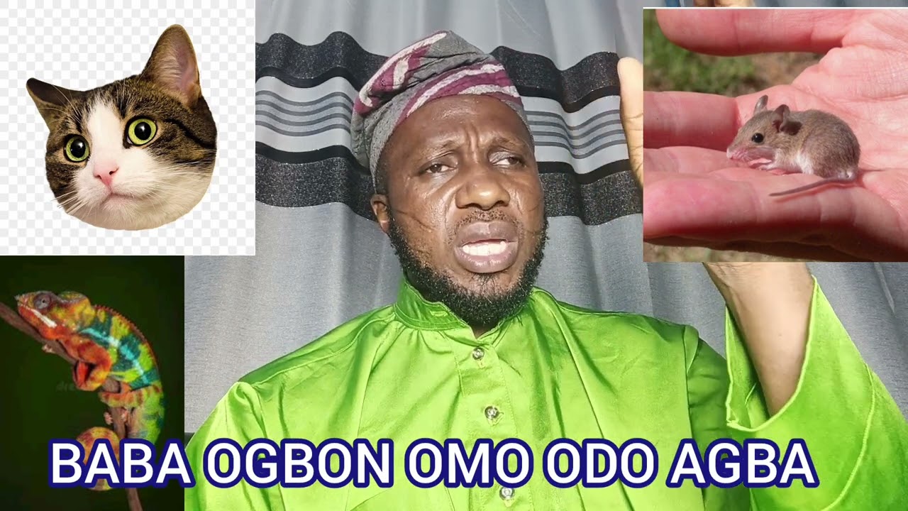 ASINA OLA TODAJU FÚN GBOGBO ÈNÌYÀN, +2348032983298, +22954651928, +2250506134943