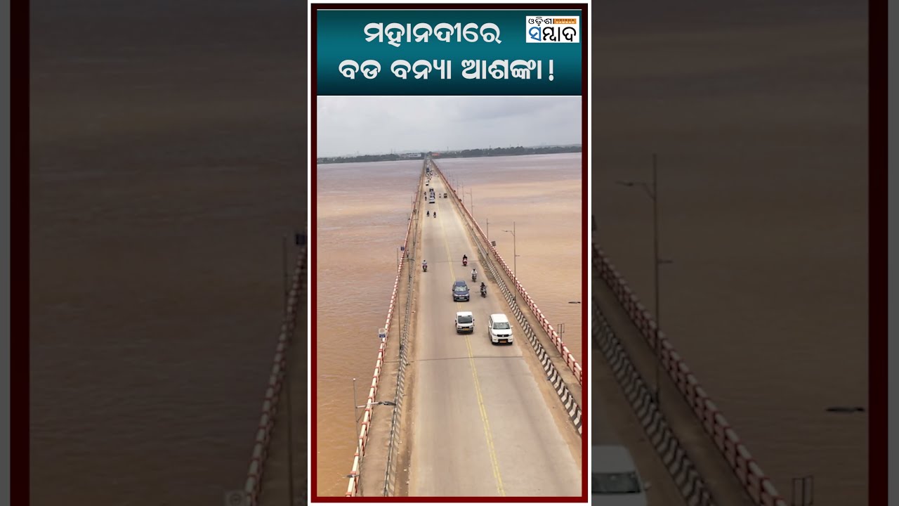 Угроза сильного наводнения на реке Маханади! #mahanadi #hirakuddam #наводнение #mohanmajhi