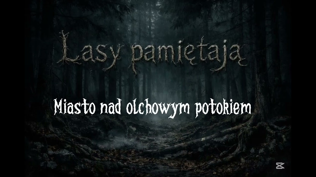 PROMO playlisty Lasy pamiętają 