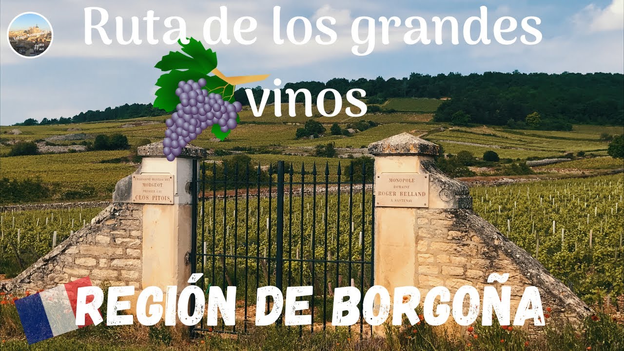 Ruta de los Grandes vinos de BORGO&Ntilde;A. Gu&iacute;a de Francia #11