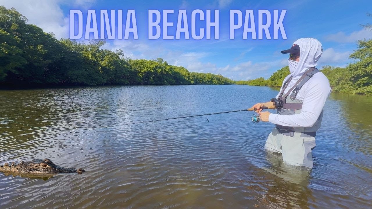 Discover the HIDDEN GEM of Dania Beach