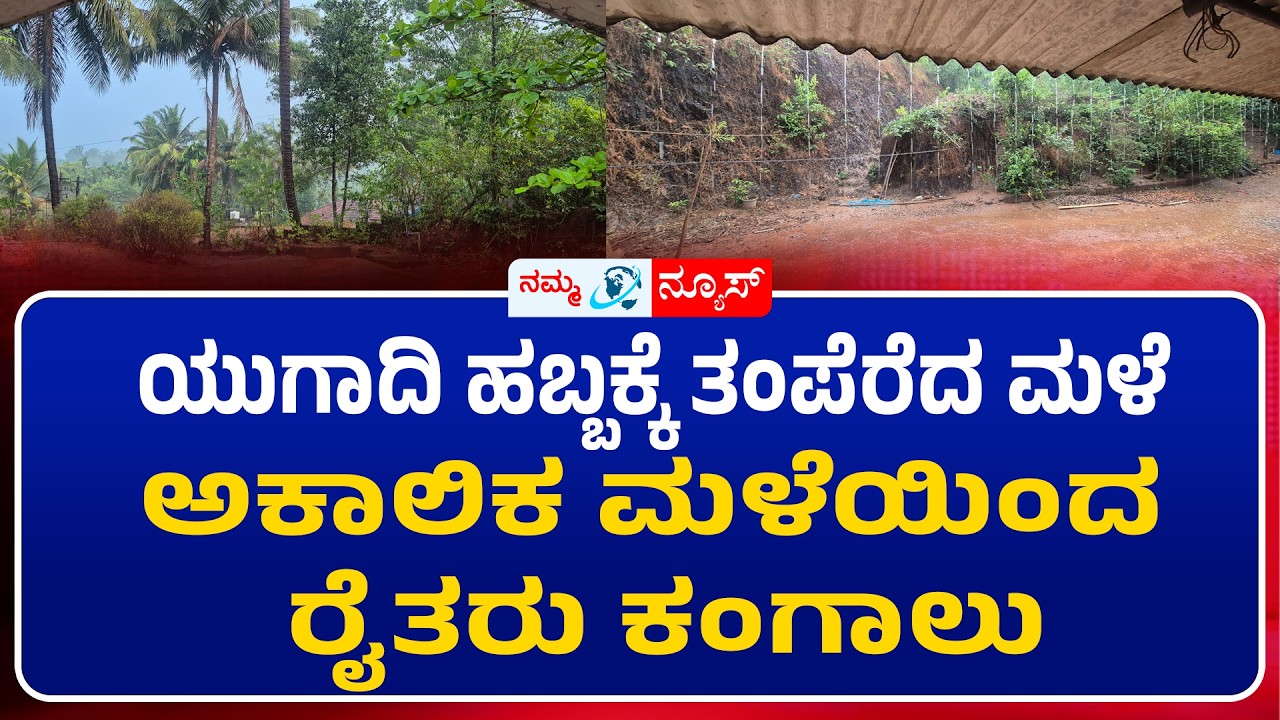 ಯುಗಾದಿ ಹಬ್ಬಕ್ಕೆ ತಂಪೆರೆದ ಮಳೆ : ಅಕಾಲಿಕ ಮಳೆಯಿಂದ ರೈತರು ಕಂಗಾಲು | Namma News